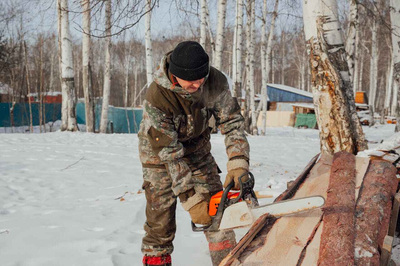 Large Tree Removal